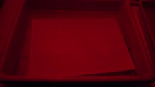 Darkroom Laboratory Photography Developing Black And Whit Monochrome Photo Print Under Red Light
