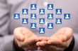 © vegefox.com - digital Business people silhouettes network team