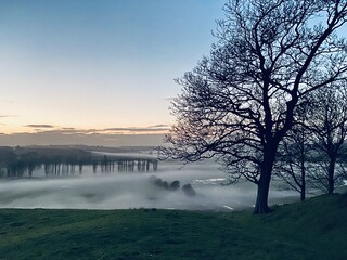 Wall Mural - Brede Valley with mist and fog view from Winchelsea East Sussex UK - across misty fields trees and sheep