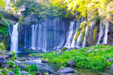  静岡県の白糸の滝