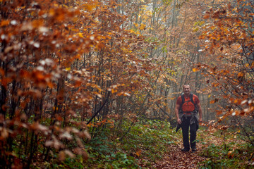 Wall Mural - Hiking into the foggy forest