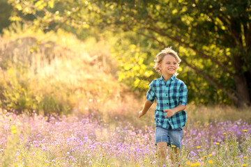 Sticker - Cute little boy outdoors, space for text. Child spending time in nature