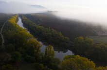 Scenic View Of River By Vineyard In Foggy Weather