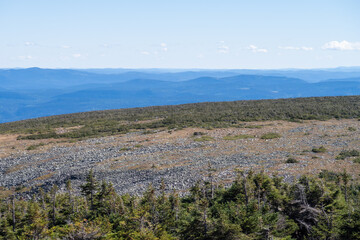 Wall Mural - View of the toundra at the mount Jacques Cartier in the Gaspésie national park, Canada