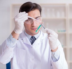 Wall Mural - Expert criminologist working in the lab for evidence