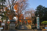 Fototapeta Sawanna - Takinomiya Shrine in Fukaya city, Saitama, Japan. December 13, 2020
