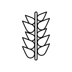  spike barley line style icon