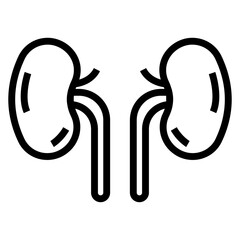 Poster - Kidneys icon in line design 