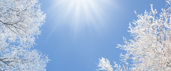 Aufkleber - Winter blue sky and snowy tree