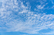 Mackerel sky or buttermilk sky of altocumulus clouds
