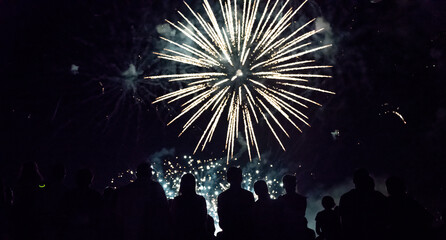 Wall Mural - Crowd watching fireworks and celebrating new year eve