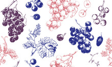 Seamless Pattern With Grape Drawings, Hand Drawn Illustration Of Fresh Grape Vines