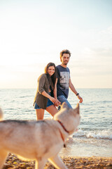 Wall Mural - young caucasian couple walking on beach with siberian husky dogs during beautiful sunset or sunrise. Playing with dogs. Pets are the members of family concept