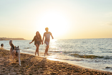 Wall Mural - young caucasian couple walking on beach with siberian husky dogs during beautiful sunset or sunrise. Playing with dogs. Pets are the members of family concept