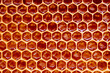 © Aleksandr Rybalko - Background texture and pattern of a section of wax honeycomb from a bee hive filled with golden honey i