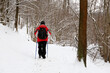 Nordic walking in winter, man with backpack and sticks in the park during snowfall. Cold weather, concept of healthy lifestyle