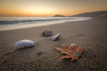 Pebbles and sycamore leaves washed by the sea on a quiet sandy beach set you up for relaxation and meditation. In the background you can see the waves and the silhouette of the mountain