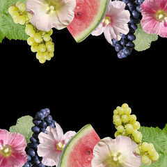 Fotomurales - Beautiful background of mallow and grapes. Isolated