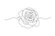 © MuhammadZulfan - Continuous line drawing of rose flower. One line art concept of beautiful floral for love greeting. Vector illustration