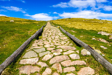 Wall Mural - old footpath at the european alps