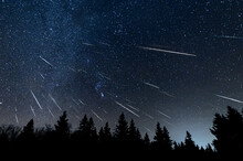 Meteor Shower With 44 Meteors And The Milky Way In The Background Above A Silhouette Treeline Of Spruce And Pine Trees. Composite From 44 Images. 