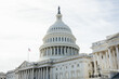 © Dennis - United States Capitol in Washington D.C.