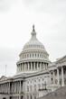 © Dennis - United States Capitol in Washington DC