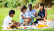 © JackF - Portrait of cheerful interracial family with two children enjoying picnic on green meadow