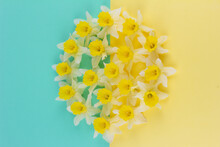Spring Background With Yellow Daffodil Flower Buds On Yellow And Blue Background Top View