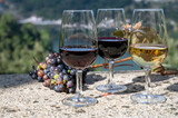 Fototapeta Krajobraz - Outdoor tasting of different fortified port wines in glasses in sunny autumn, Douro river Valley, Portugal