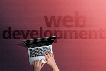 The concept of the web development of sites and Internet pages in the global network