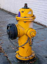 Yellow Fire Hydrant On Street