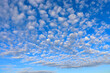 Little altocumulus clouds in the blue sky in morning