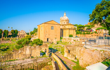 Wall Mural - Ruins of the Roman Forum in Rome, Italy