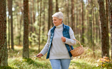 Canvas Print - picking season, leisure and people concept - senior woman with basket walking in autumn forest