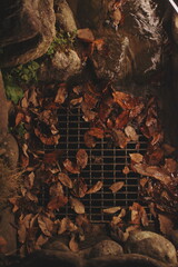  夜の排水溝に溜まる落ち葉