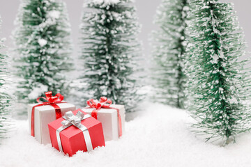 Canvas Print - Christmas presents in forest