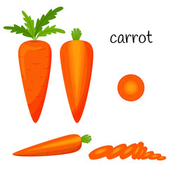 Wall Mural - Raw carrots with tops. Whole, slices and half in cross section. Vegetable, root vegetable, ingredient, food packaging design element, recipes, menu.Isolated on white vector illustration in flat style.