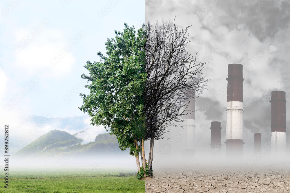 Tree on the background of nature and industrial plant. Human influence on nature. Air pollution and purification. Mountains. Environmental concept. The antithesis. - obrazy, fototapety, plakaty 