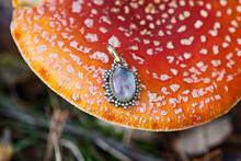 Brass Pendant With Crystal Quartz On Amanita Muscaria Growing In The Forest