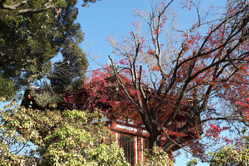 Wall Mural - Nanendo pagoda at Kofuku-ji in Nara, Japan