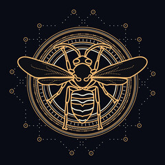 Sacred wasp with celestial design elements - insect illustrated with gold and white lines on black background