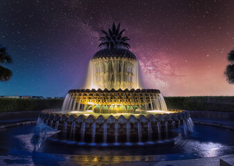 Wall Mural - charleston pinapple fountain milky way