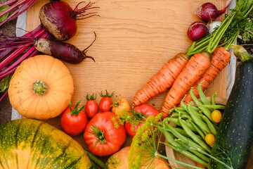 Wall Mural - Harvest vegetables on the ground. Potatoes, carrots, beets, peppers, tomatoes, cucumbers, beans, pumpkin, onions and garlic. Autumn harvest farmers