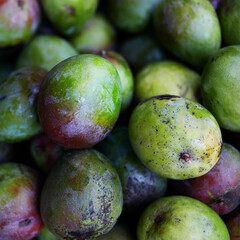 Close-up of heap of green fresh mango in Sri Lankan shop