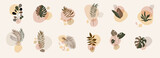Fototapeta Boho - Abstract floral compositions. Boho story templates. Fluid organic shapes, neutral colors. Bohemian exotic leaf prints. Mid Century Modern design. Vector leaves illustration