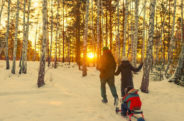 Wall Mural - family walking in winter park at sunset