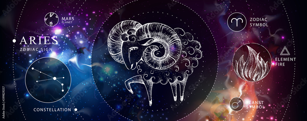 Modern magic witchcraft card with astrology Aries zodiac sign. Realistic hand drawing ram or mouflon. Zodiac characteristic - obrazy, fototapety, plakaty 
