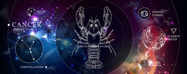 Wall Mural - Modern magic witchcraft card with astrology Cancer zodiac sign. Realistic hand drawing crab illustration. Zodiac characteristic