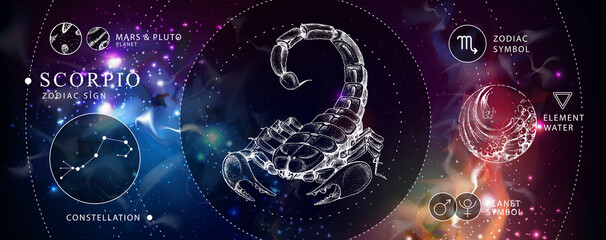 Wall Mural - modern magic witchcraft card with astrology scorpio zodiac sign. realistic hand drawing scorpion ill